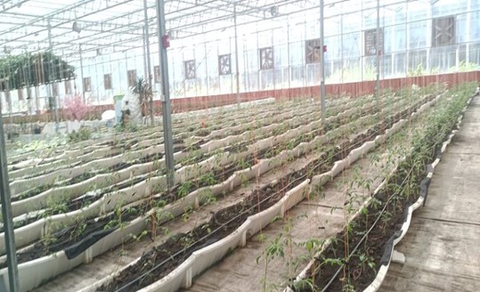 必赢3003no1线路检测中心