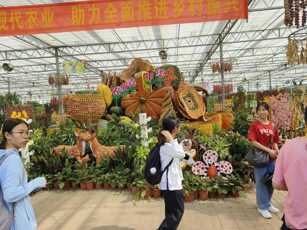 必赢3003no1线路检测中心